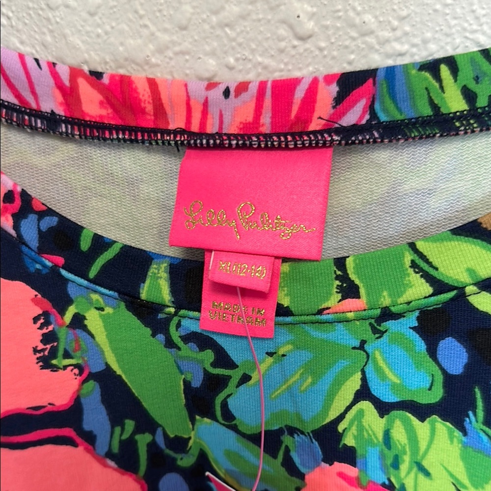 Lilly Pulitzer Teigen Dress Pink and Green Size XL (12-14) - Picture 2 of 8